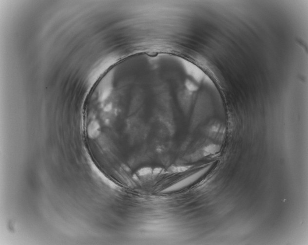 X0000098151095200805151159