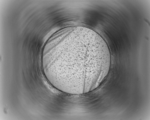 X0000098151098200805151159