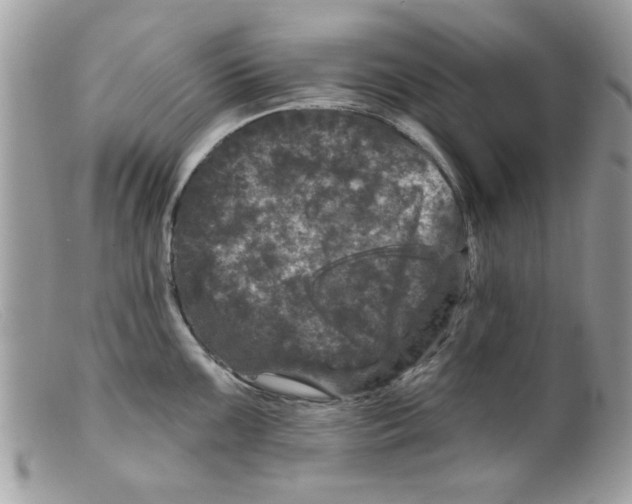 X0000098151099200805151159