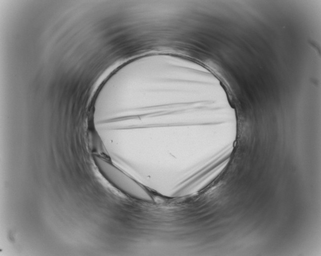 X0000098151100200805151159