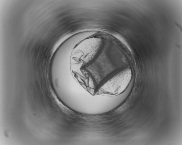 X0000098151101200805151159