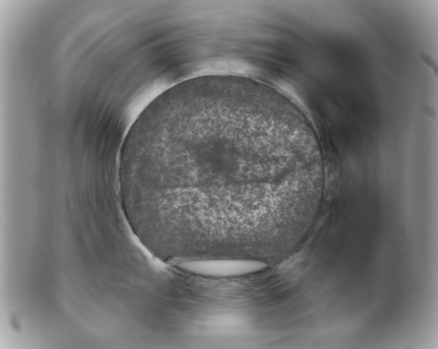 X0000098151103200805151159