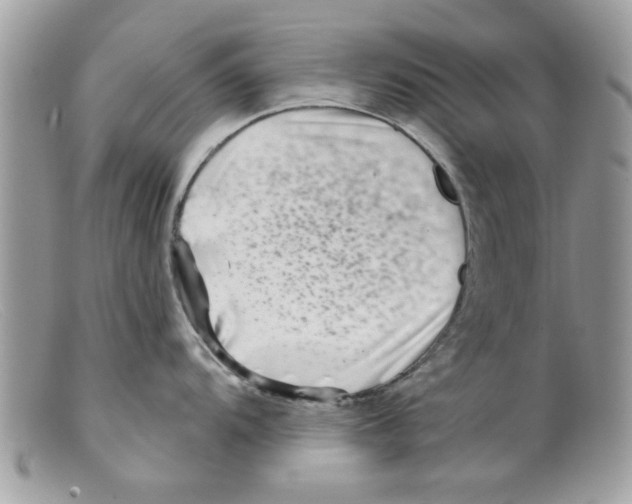 X0000098151104200805151159