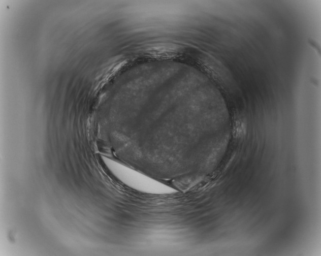 X0000098151108200805151158