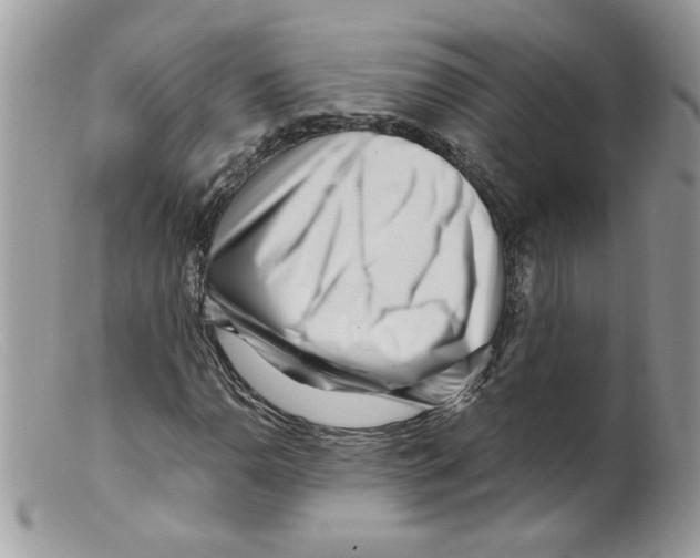 X0000098151110200805151158