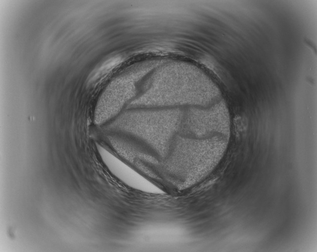 X0000098151111200805151158
