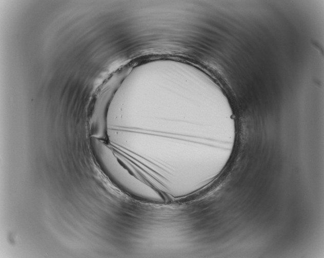 X0000098151114200805151158