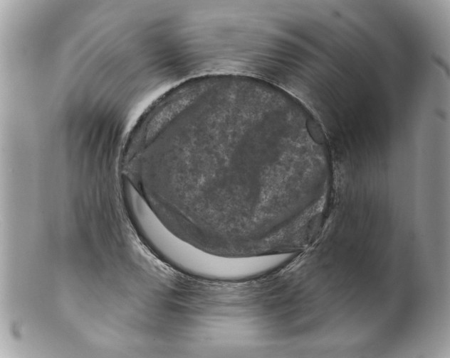 X0000098151120200805151158