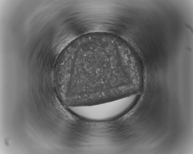 X0000098151121200805151158