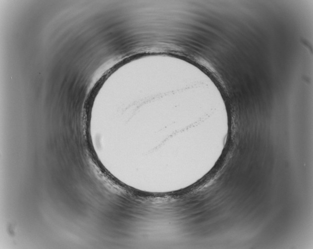 X0000098151122200805151158