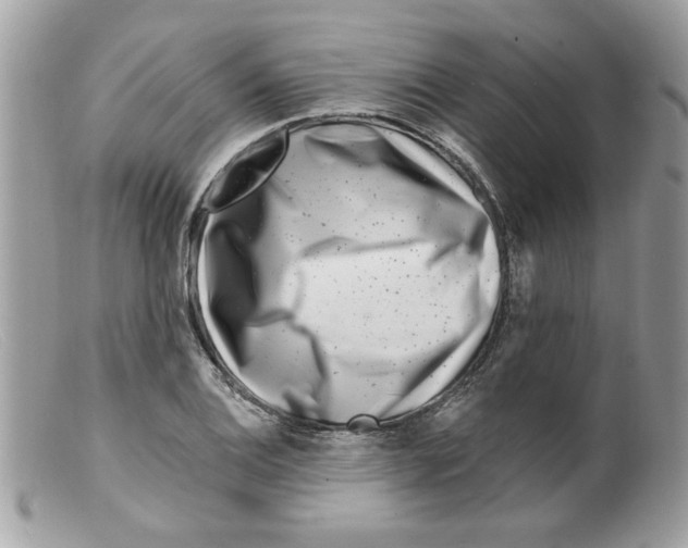 X0000098151124200805151158