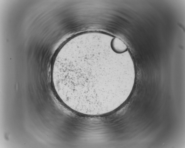 X0000098151126200805151158