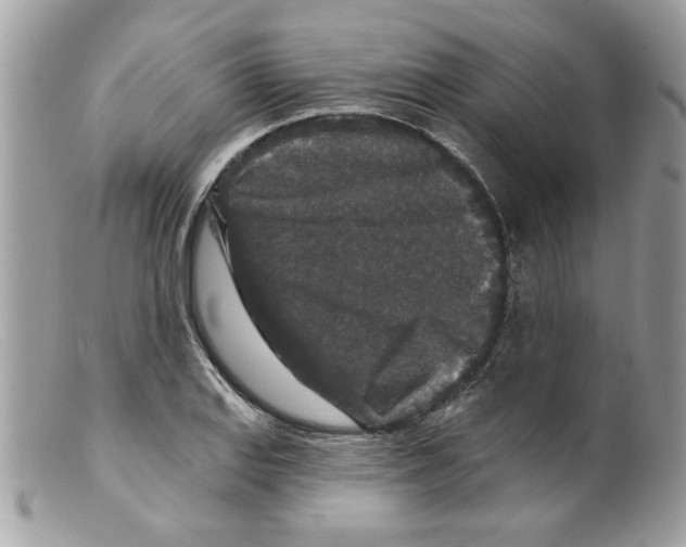 X0000098151127200805151158