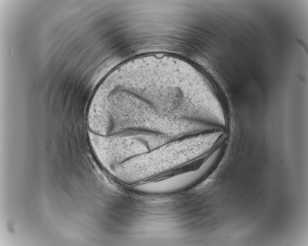 X0000098151129200805151158