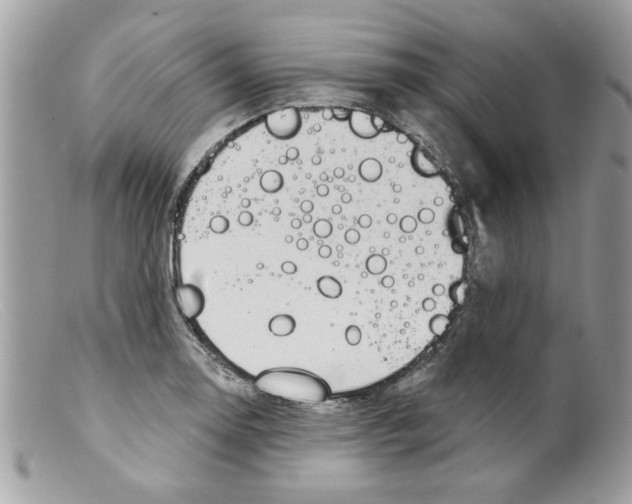 X0000098151130200805151158