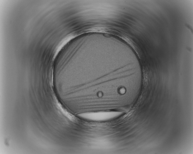 X0000098151131200805151158