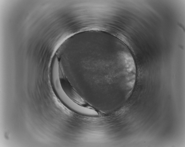 X0000098151132200805151158