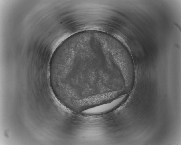 X0000098151133200805151158