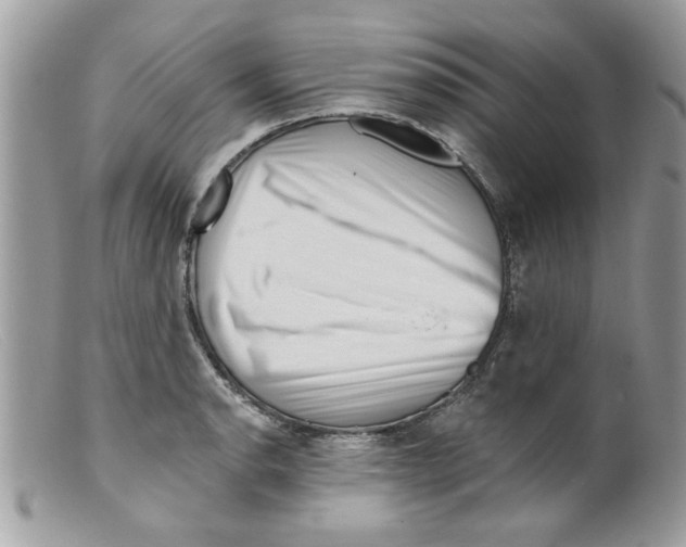 X0000098151134200805151158