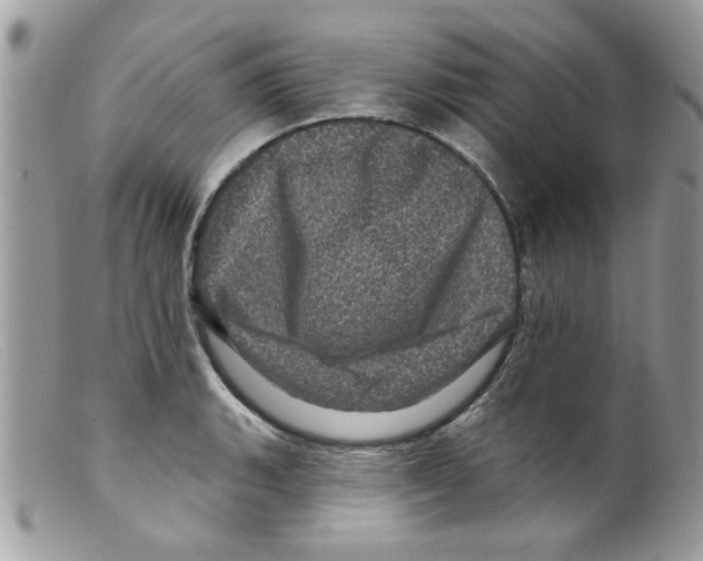 X0000098151135200805151158