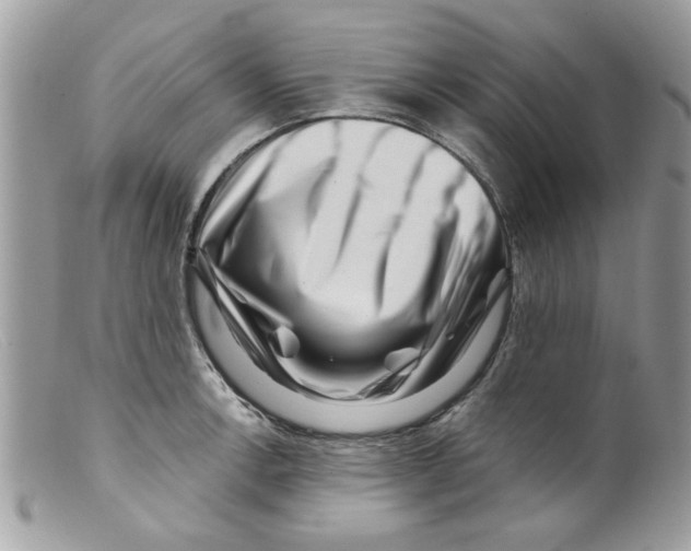 X0000098151138200805151158