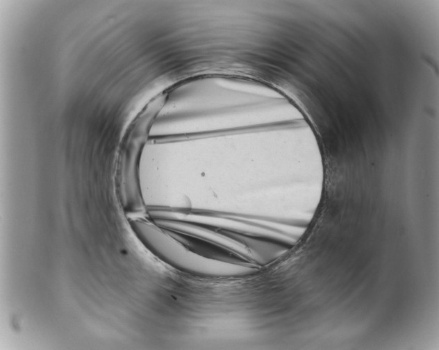 X0000098151139200805151158