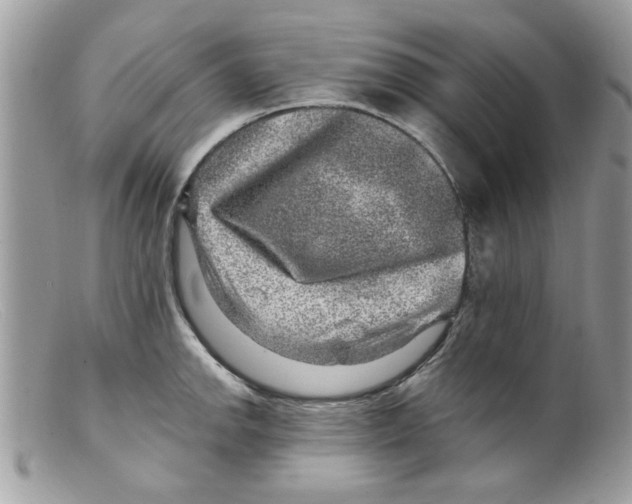 X0000098151142200805151158