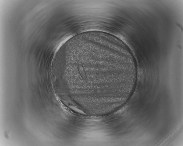 X0000098151145200805151158
