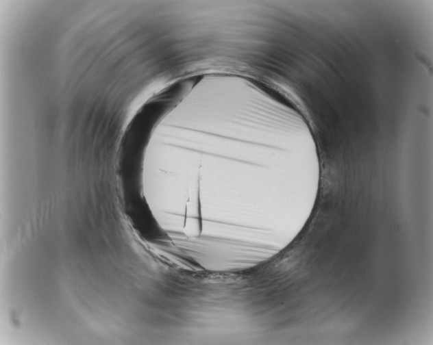X0000098151146200805151158