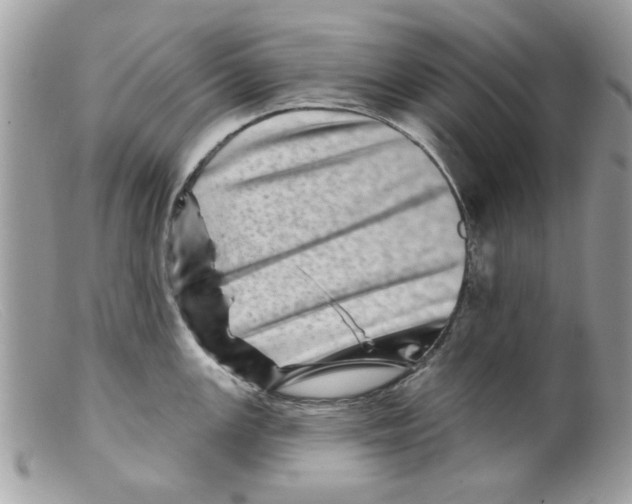 X0000098151147200805151158