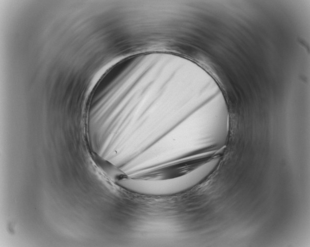 X0000098151148200805151158