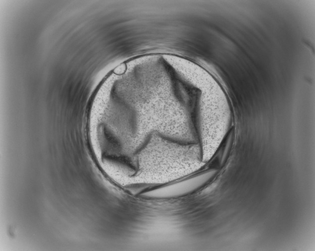 X0000098151149200805151159
