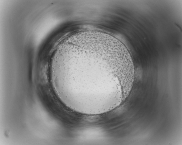 X0000098151150200805151159