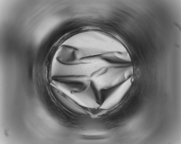 X0000098151151200805151159