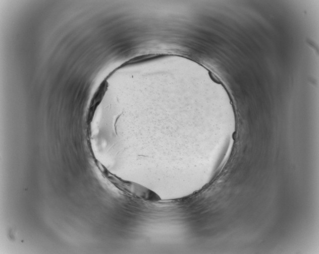 X0000098151152200805151159