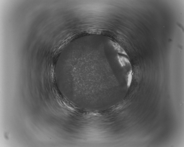 X0000098151154200805151158