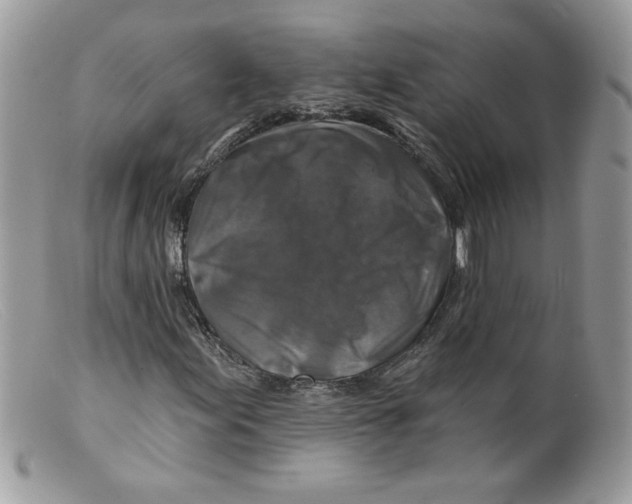 X0000098151155200805151158
