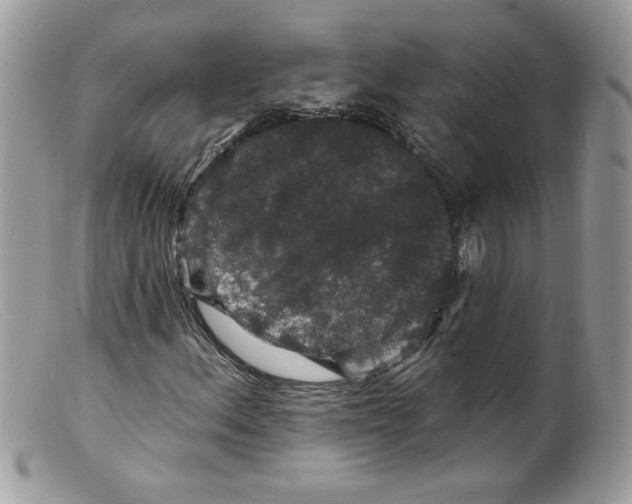 X0000098151156200805151158