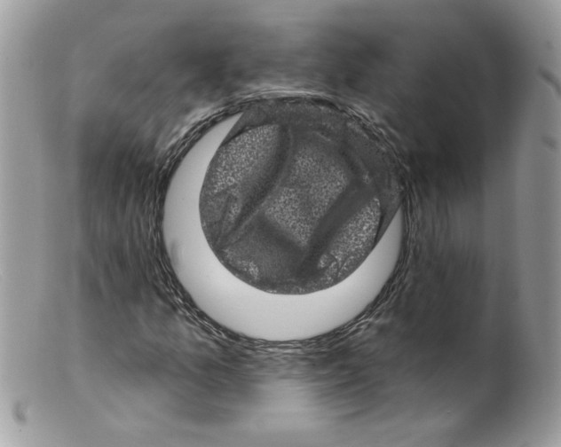 X0000098151157200805151158