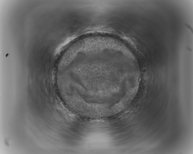 X0000098151159200805151158