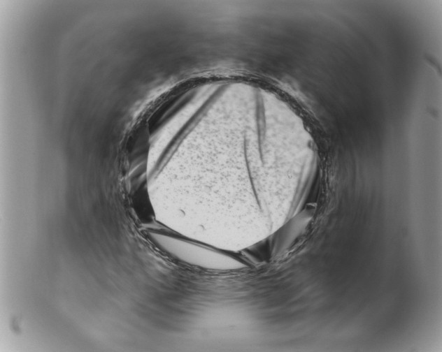 X0000098151160200805151158