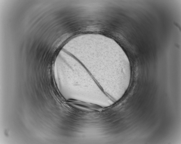 X0000098151162200805151158