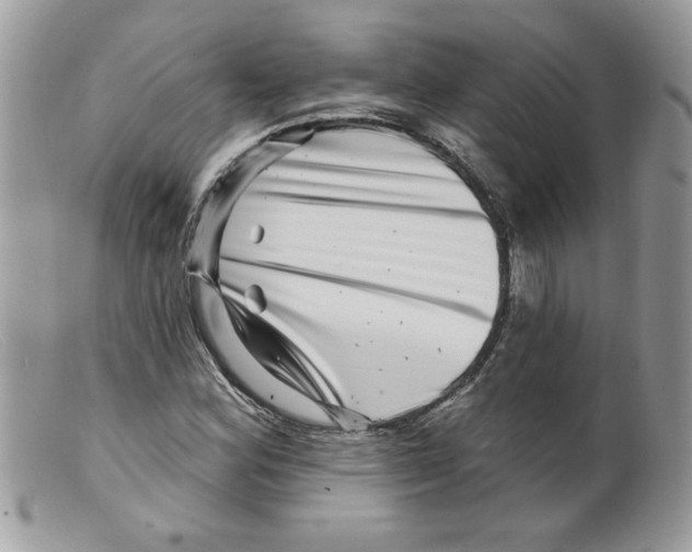 X0000098151164200805151158