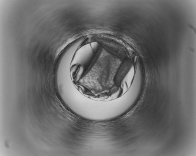 X0000098151165200805151158