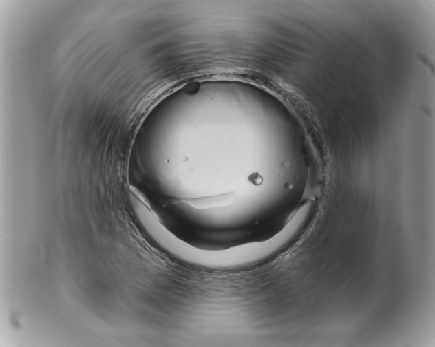 X0000098151169200805151157