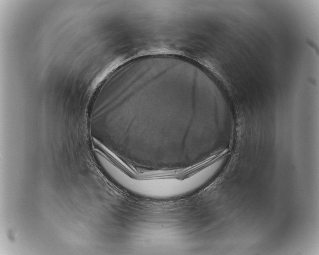 X0000098151173200805151157