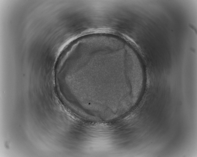 X0000098151174200805151157