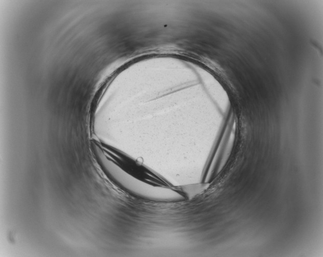X0000098151176200805151157