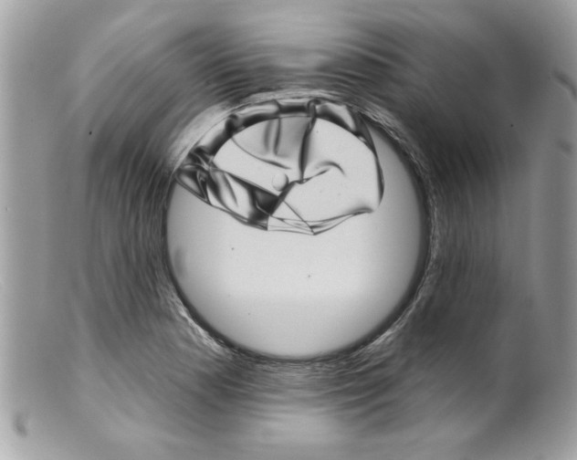 X0000098151177200805151157