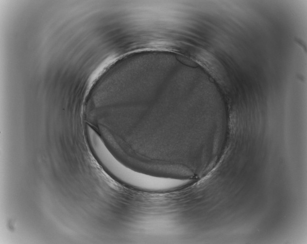 X0000098151180200805151157